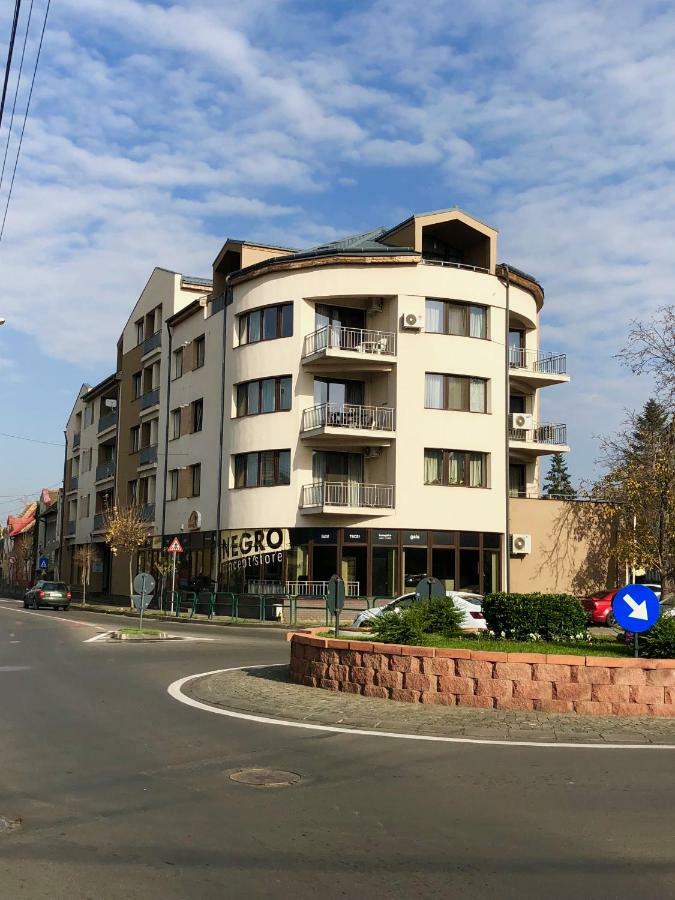 Central Apartments Târgu-Mureş Εξωτερικό φωτογραφία